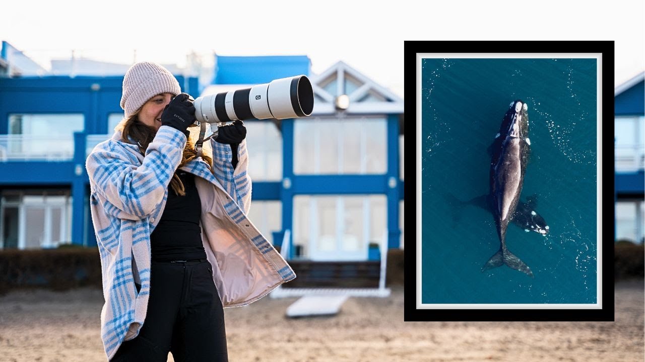 Как продавать свои ФОТОГРАФИЧЕСКИЕ ОТПЕЧАТКИ в 2024 году | с помощью Printify