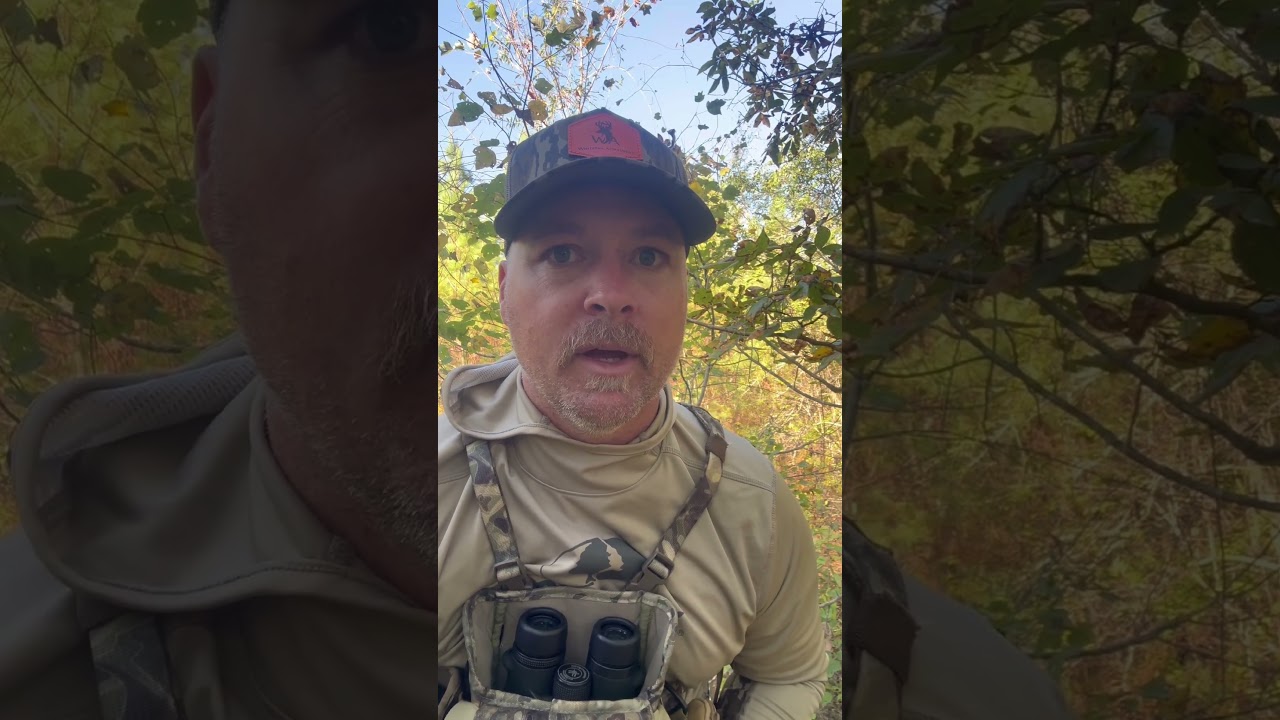 Alabama Public Land 10/20/25 