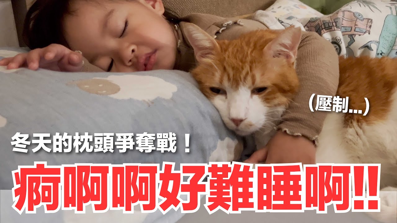 【好味小姐】痾啊啊好難睡啊！冬天的枕頭爭奪戰！｜好味貓日常162