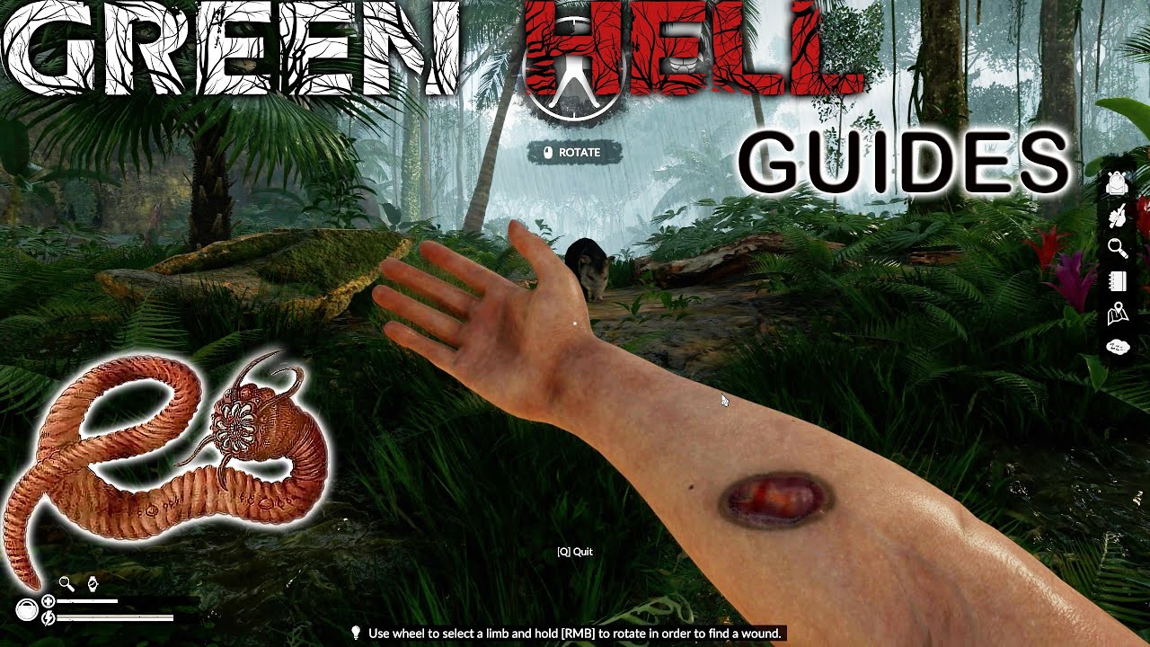 GREEN HELL: How to get rid of worms