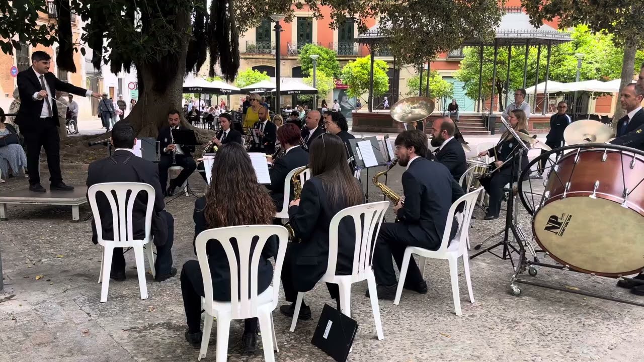 Banda Municipal de Jerez. MÚSICA EN LA CALLE