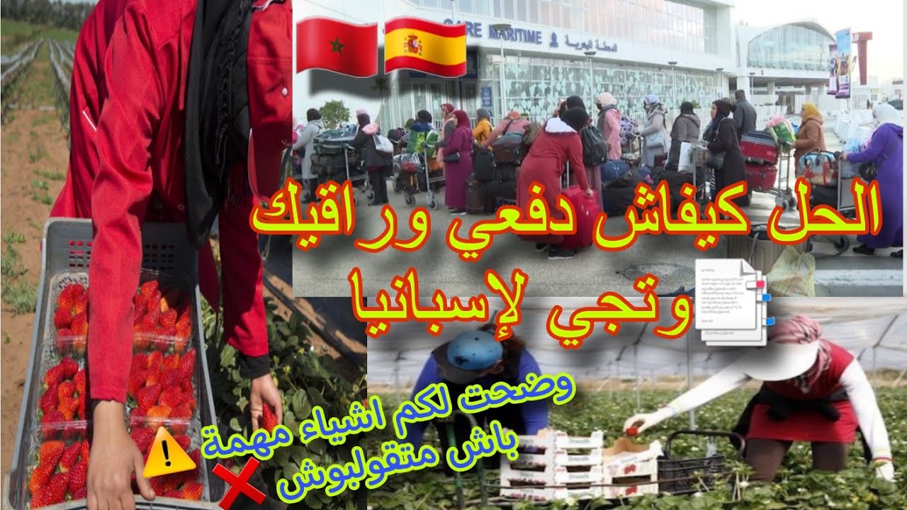 المقصيات إلى معيطوش لكم هاا الحل كيفاش دفعوا وراقيكم📁 ✅️+توضيح نقاط مهمة جداا ضروووري خاصكم تعرفوها