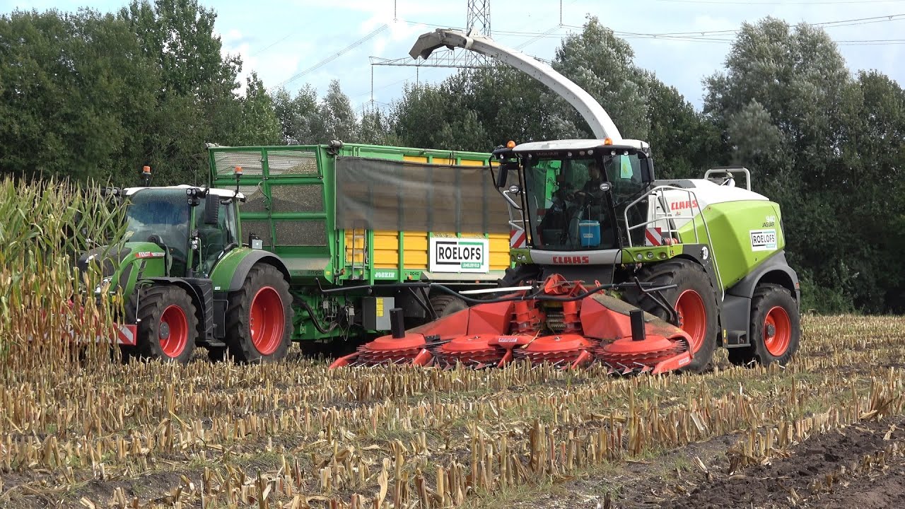 Mais hakselen door loonbedrijf Roelofs met Claas Jaguar 940 en Fendt trekkers (2022)
