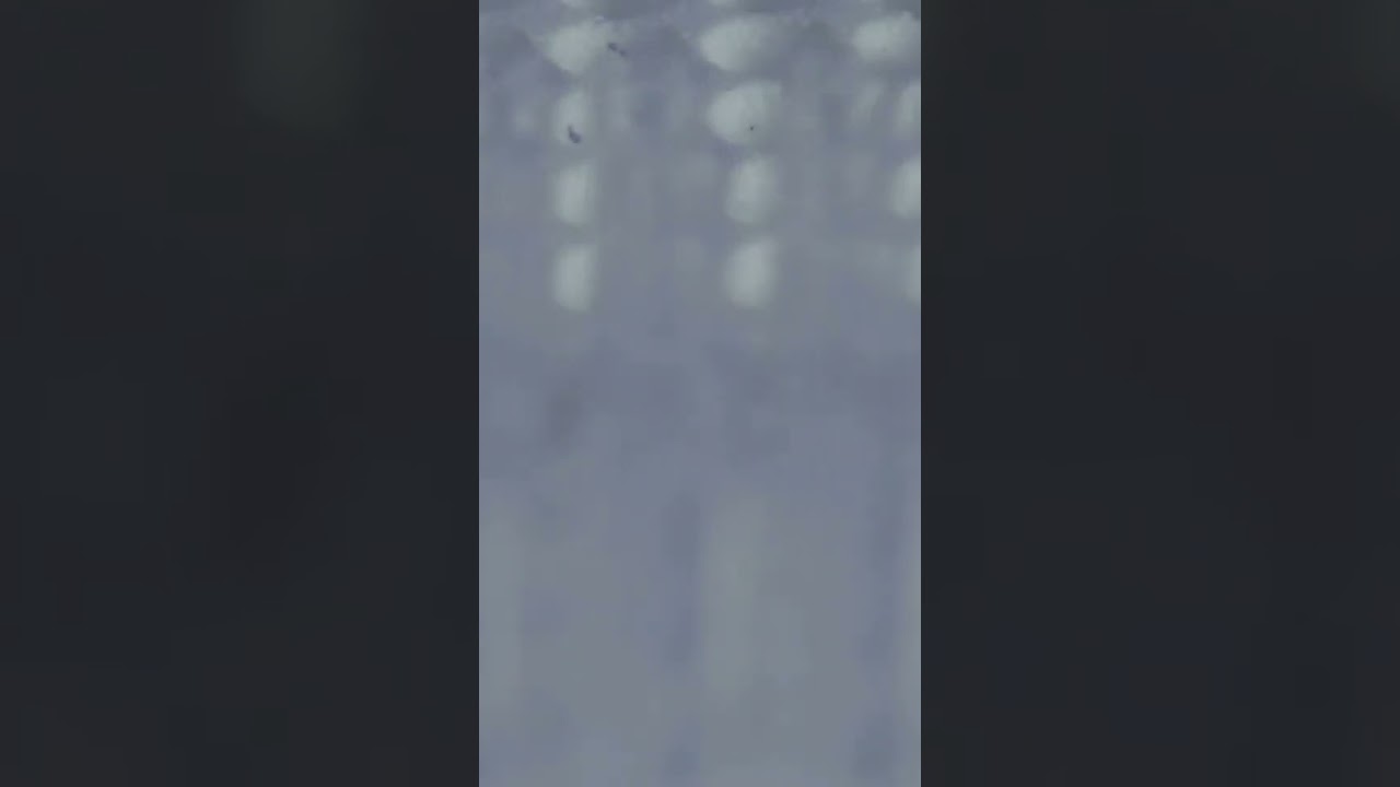 Close-Up View of Blue Test Tubes in Laboratory Video | WaveBreak Media #shorts