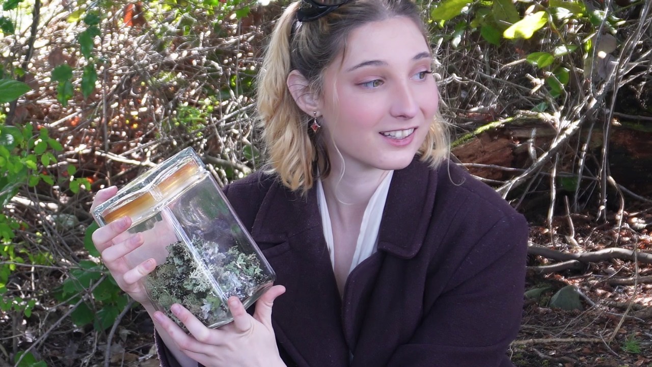 Peaceful Foraging for Mushrooms and Moss | No Talking ASMR