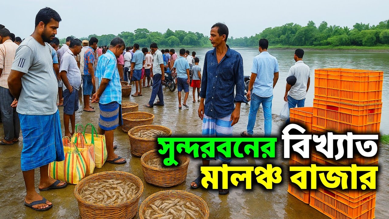 পশ্চিমবঙ্গের সবচেয়ে বড় চিংড়ি মাছ বাজার সুন্দরবন মাছ বাজারে। Sundarban Biggest Shrimp Fish Market