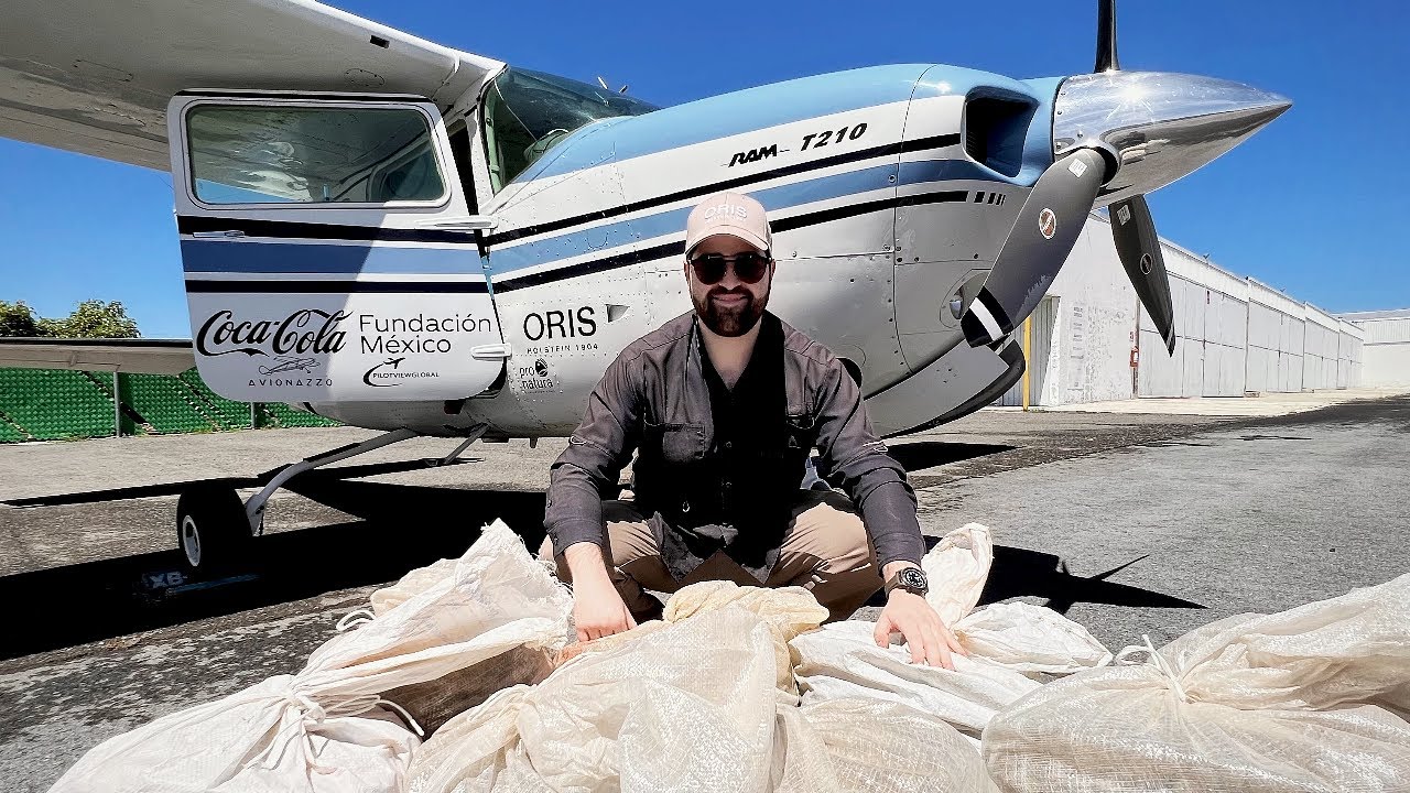 Siembra extrema: reforestamos 1 MILLÓN de árboles con un avión