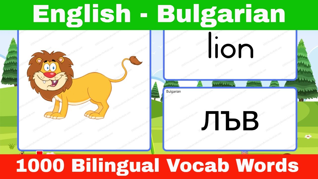 📌Learn English Bulgarian Vocabulary with Pictures for Beginners : Научете английски български речник