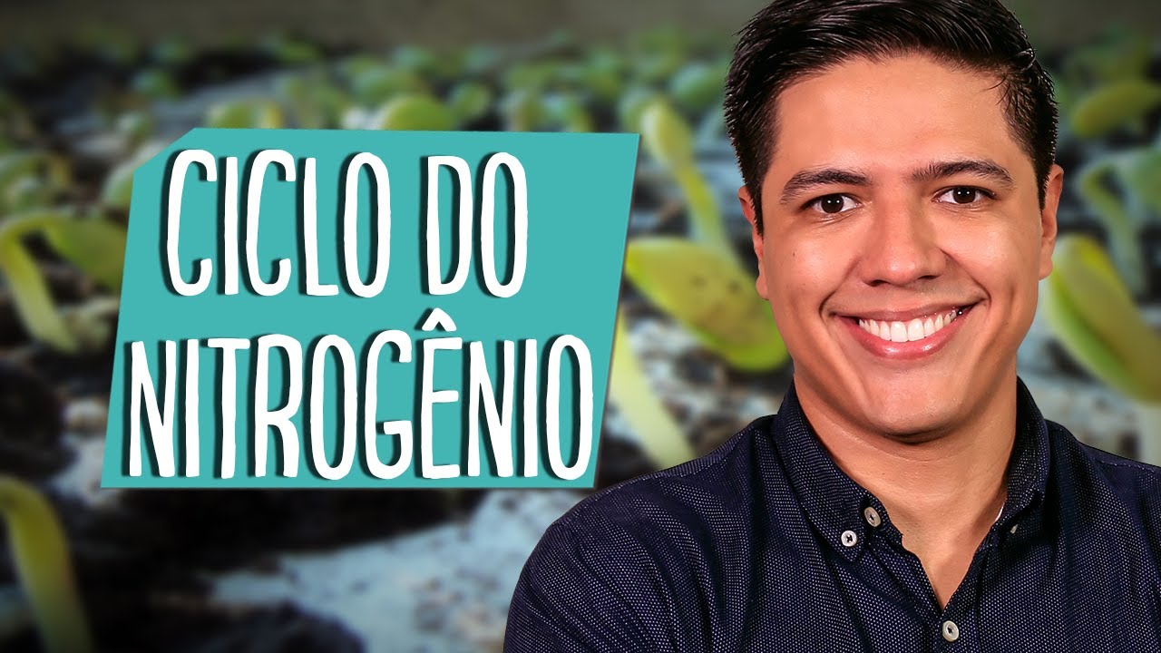 CICLO DO NITROGÊNIO - CICLOS BIOGEOQUÍMICOS - ECOLOGIA - Prof. Kennedy Ramos