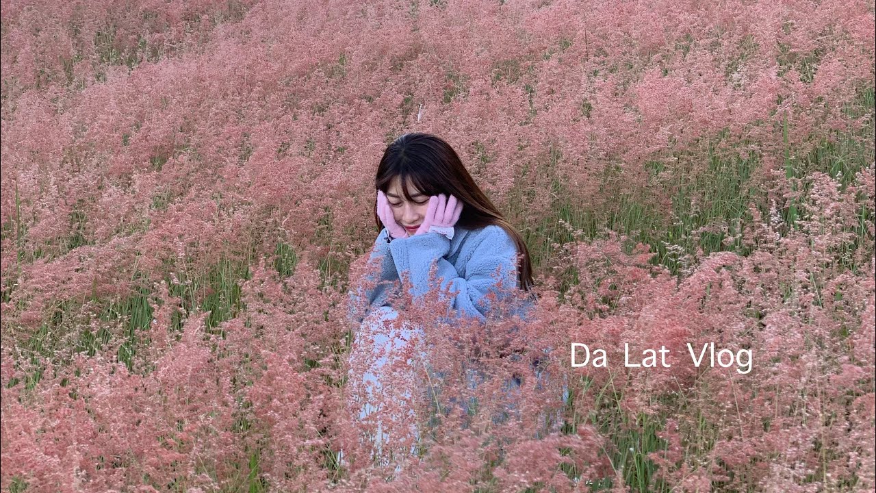 Đà Lạt vlog 🫶🏻