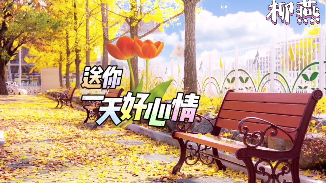 王爱华演唱《又是一个秋》旋律优美，深情演绎，歌声温婉，听醉了