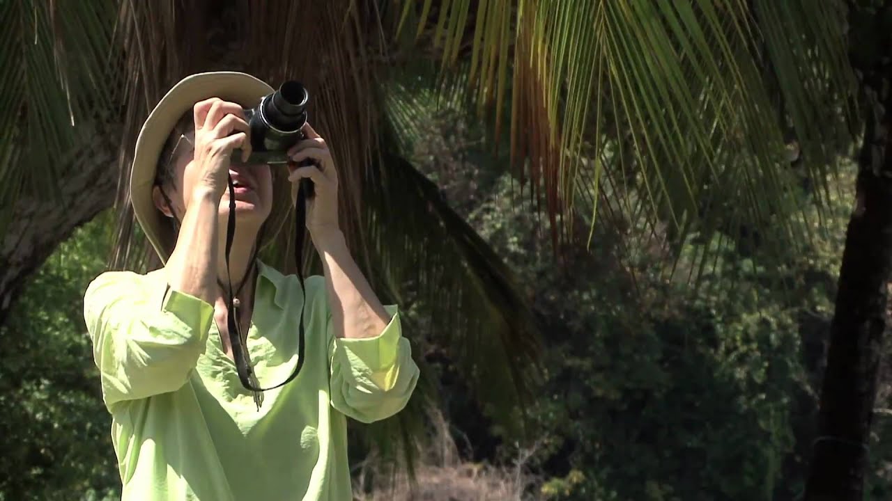 Photography Tips for Humid Climates