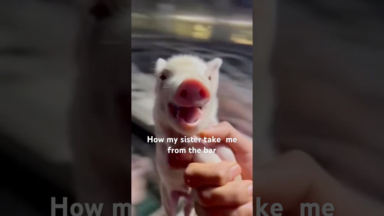 How my sister take me from bar #bar #sister #viral #рекомендации