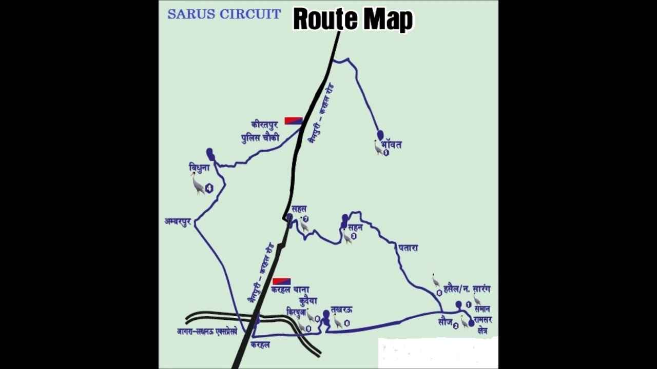 #Sarus crane Circuit #Sarus Crane in India# #yug journey India # Mainpuri India
