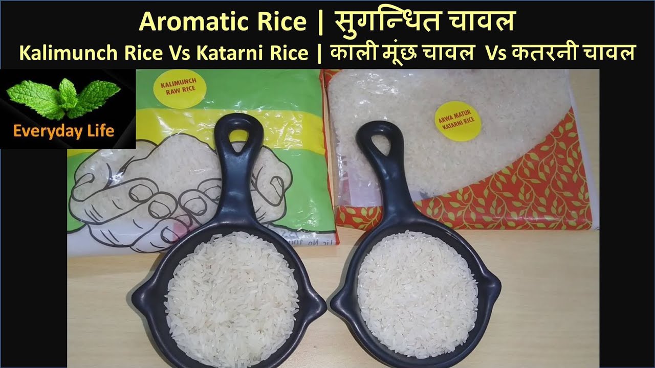 Aromatic Rice  | Kalimunch Rice Vs Katarni Rice | काली मूंछ चावल Vs कतरनी चावल | Everyday Life #155