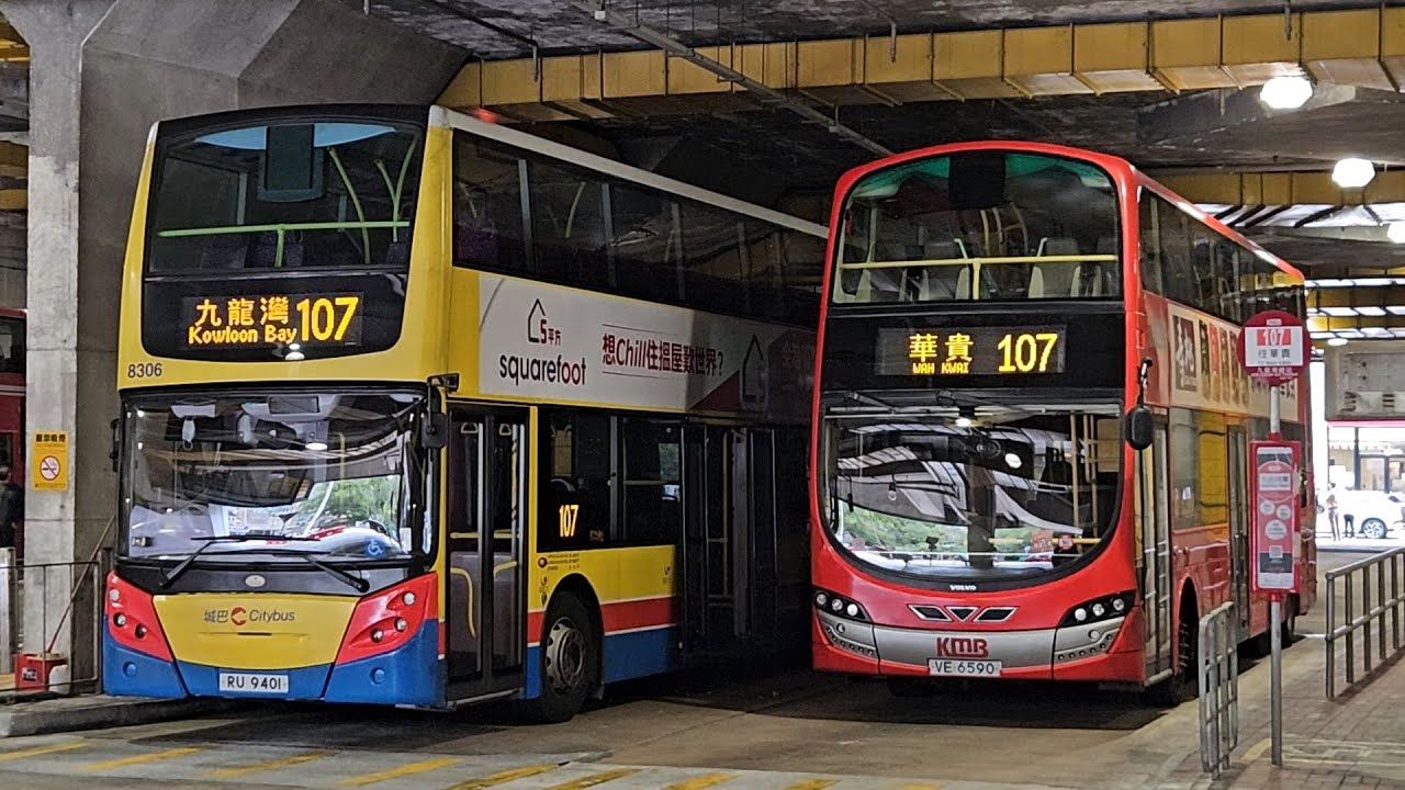 Hong Kong Bus CTB 8306 @ 107 城巴 Alexander Dennis Enviro500 九龍灣 - 華貴
