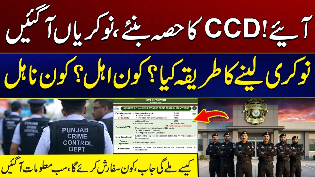 Jobs In CCD | How to get a job? Who is eligible? Who is ineligible | City 41