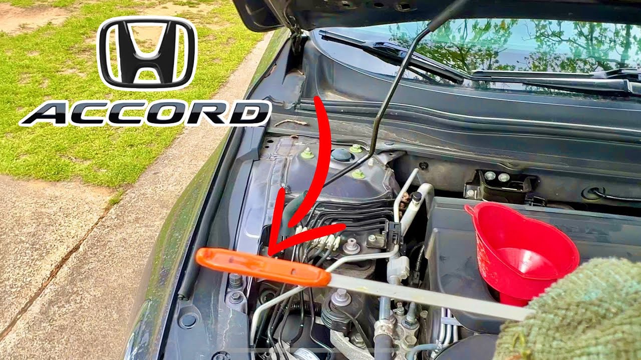 Changing the oil on a 2019 Honda Accord 2.0T **DIY** Save money!