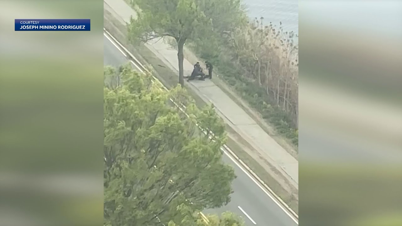 Witness video appears to show police capture gunman