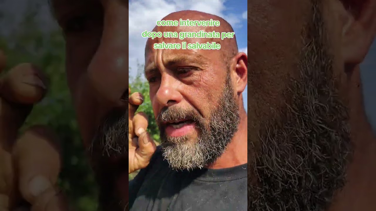 Cosa fare dopo una grandinata