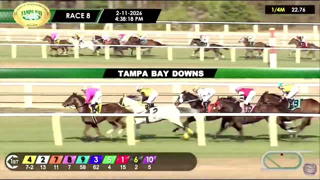 8va Carrera de Tampa Bay Down | Miercoles 11 de Febrero de 2026