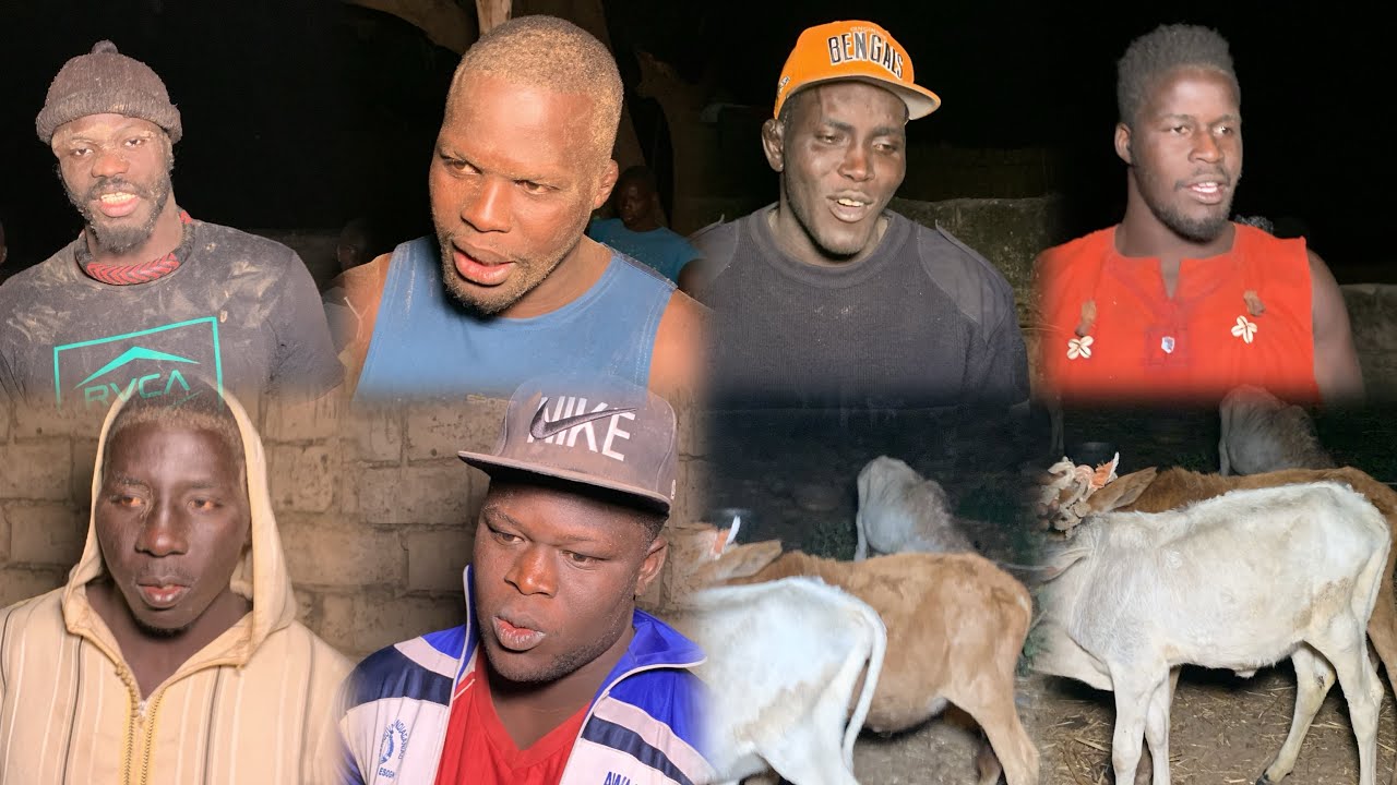 Partages des Boeufs et Réactions des Lutteurs a Dioral 25 janvier 2026,Babou Sarr,Sapeur