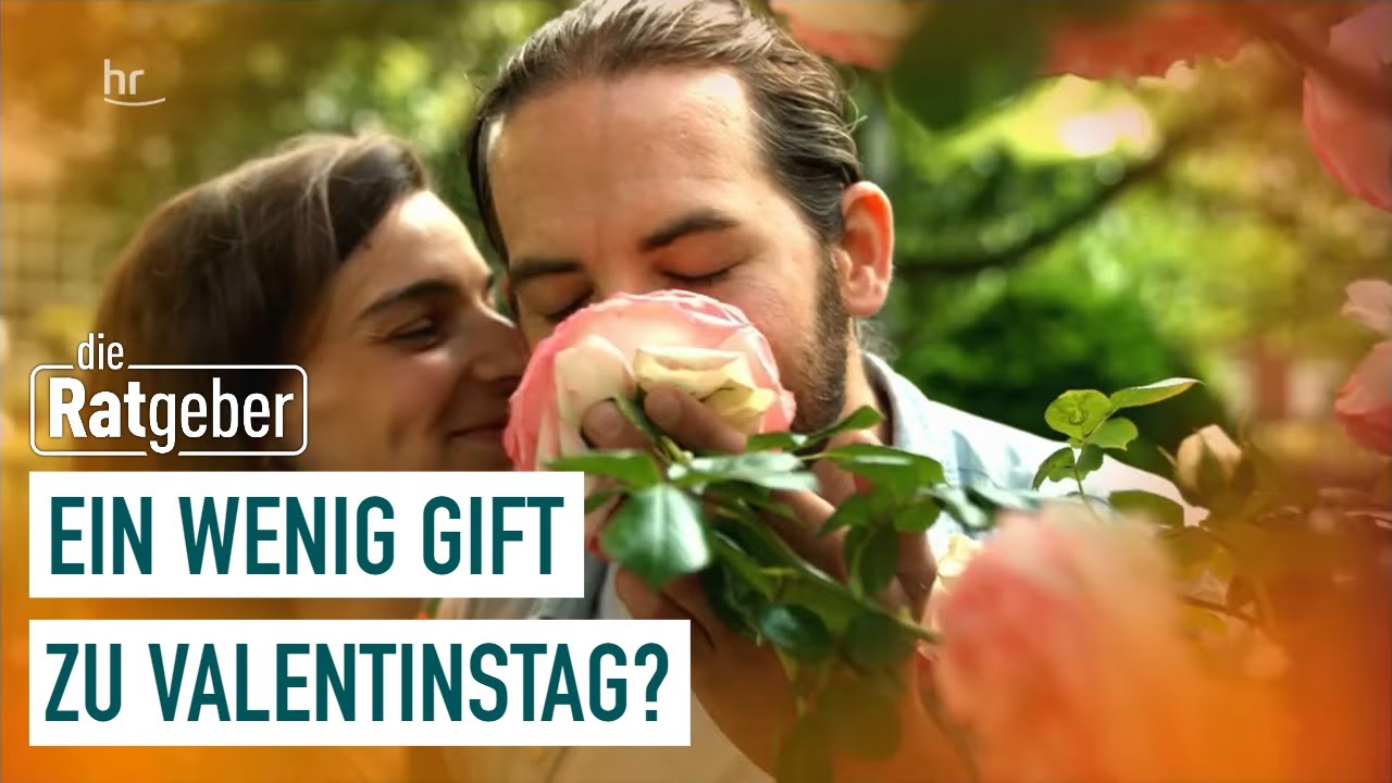 Rosen im ÖKO-Test: Ein Strauß Gift zum Valentinstag? | Die Ratgeber