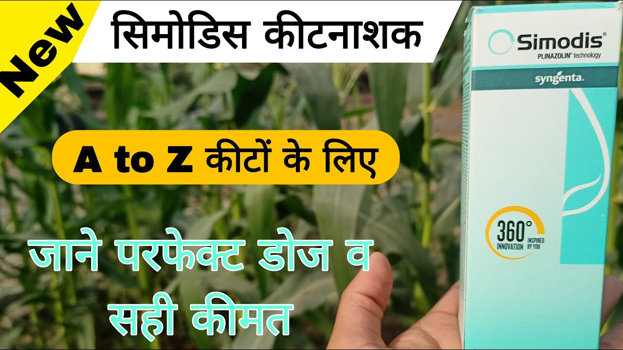 सिमोडिस कीटनाशक | simodis syngenta | simodis insecticide | simodis kitnashak |
