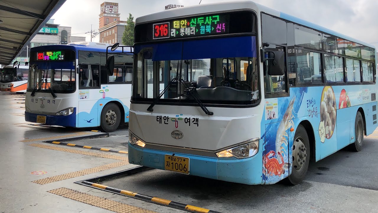 🇰🇷 Bus Observations @ Taean Bus Terminal 태안버스터미널