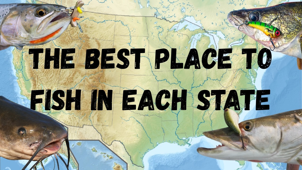 The BEST Place To Fish In Each U.S. State