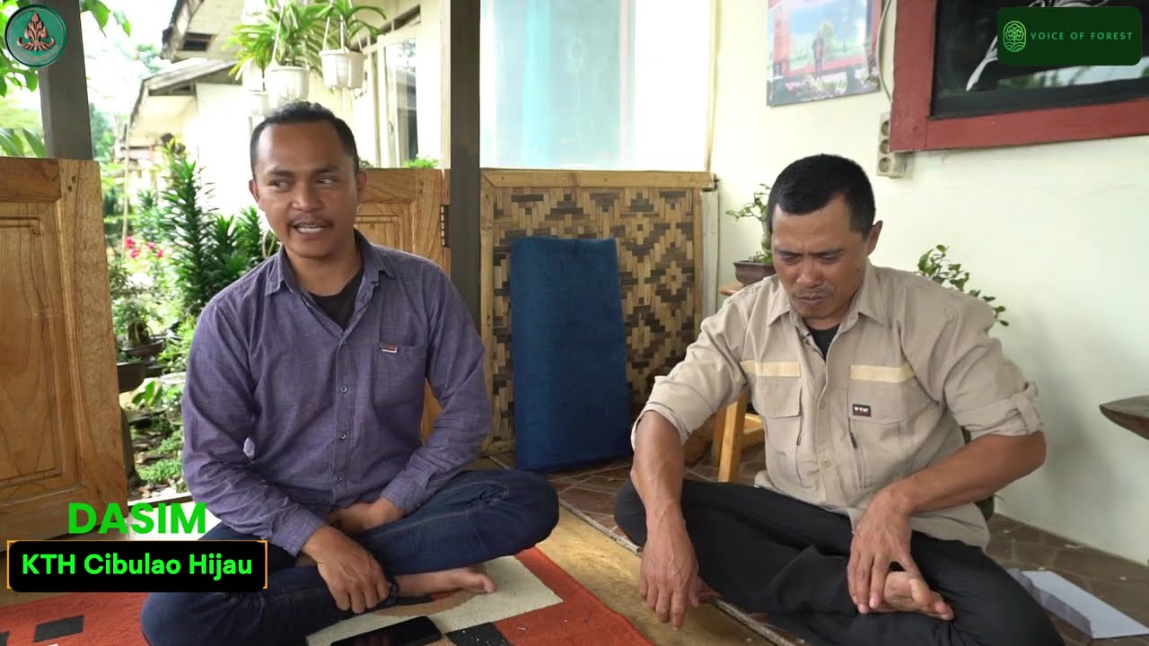 CARI CUAN DARI HUTAN