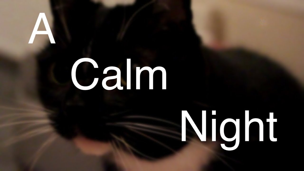 VEDA 2017 || A Calm Night