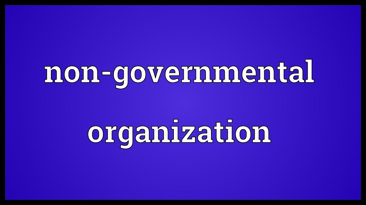 Non-governmental organization Meaning
