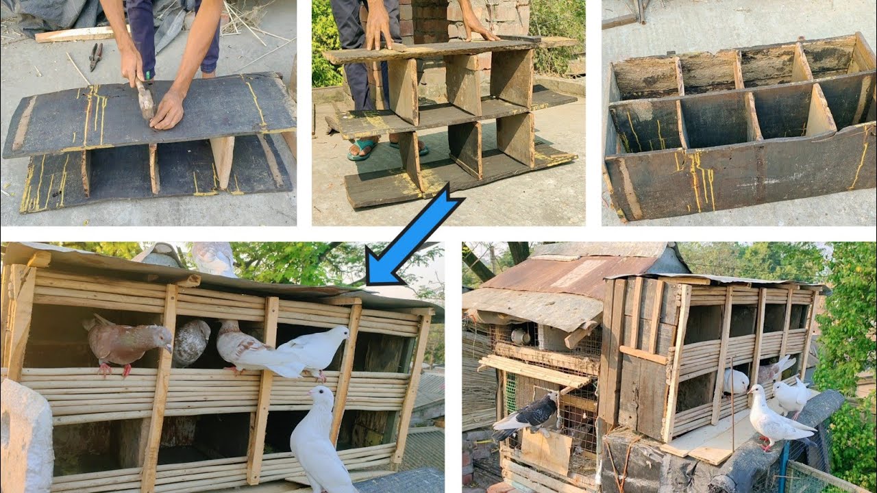 🏠 How To Make Pigeon Cage At Home || কবুতরের ঘর তৈরির নিয়ম || NT Pigeons Youtube ||