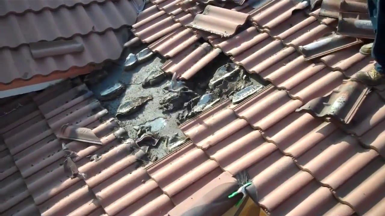 Alza le tegole del tetto di casa e quello che trova sotto è da non credere!!!