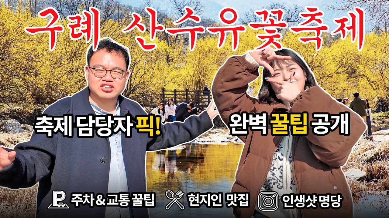 🏵한국에서 가장 먼저 봄이 찾아오는 곳🏵│지금 꼭 가야 할 금빛 여행지🥇│구례 산수유꽃축제 담당자의 꿀팁 대방출🎉