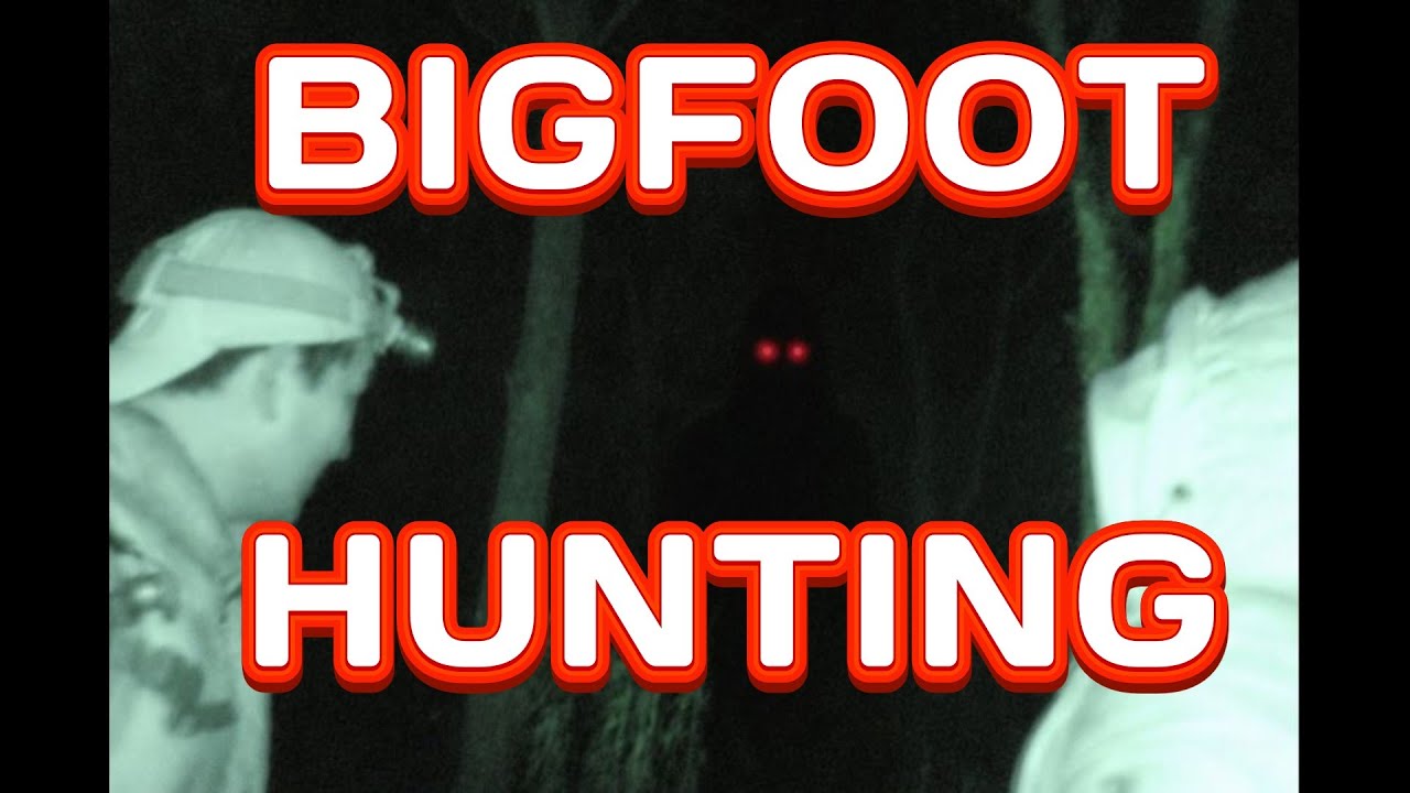 bigfoot hunting and the paranormal special, chapter 3
