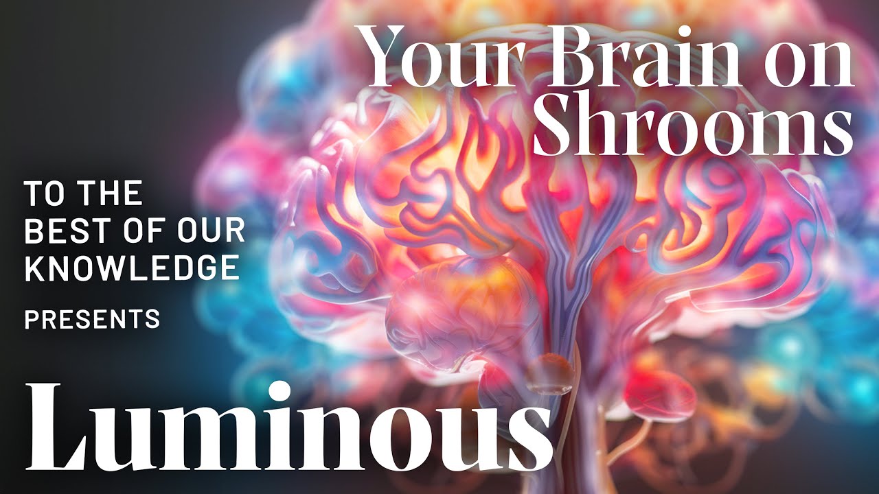 Luminous: Your Brain on Shrooms