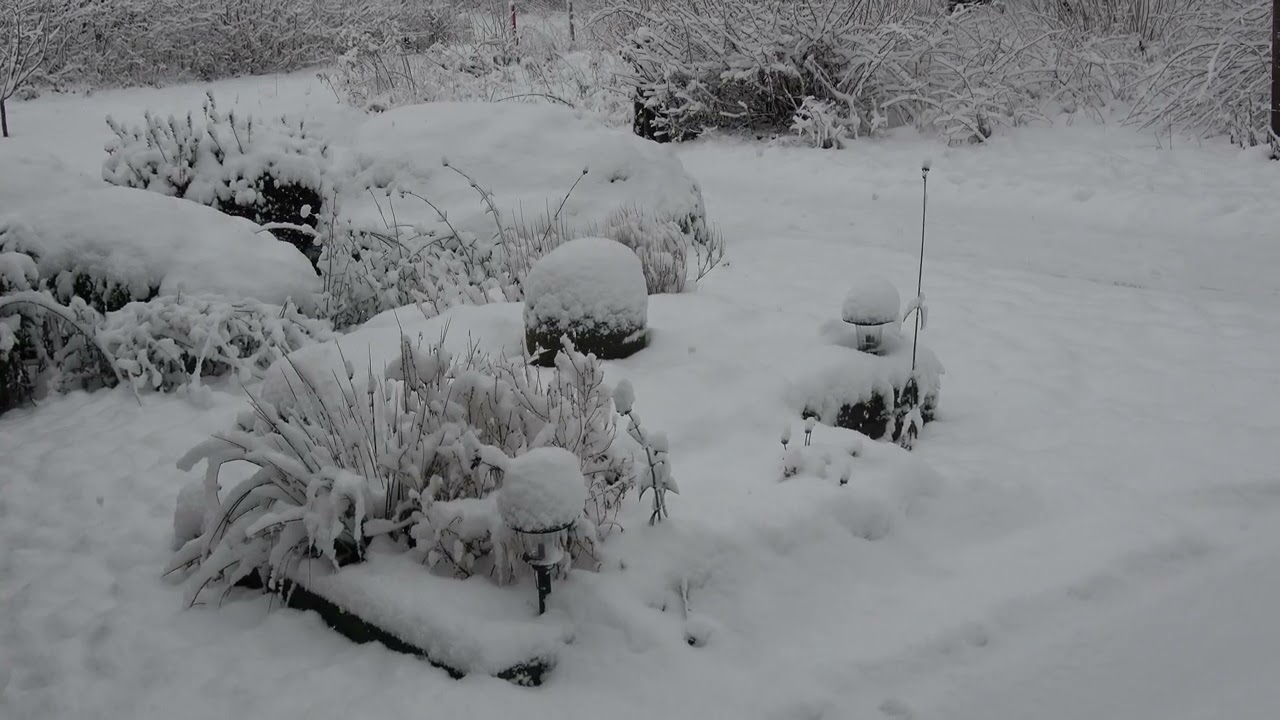 Januari2026 Winter