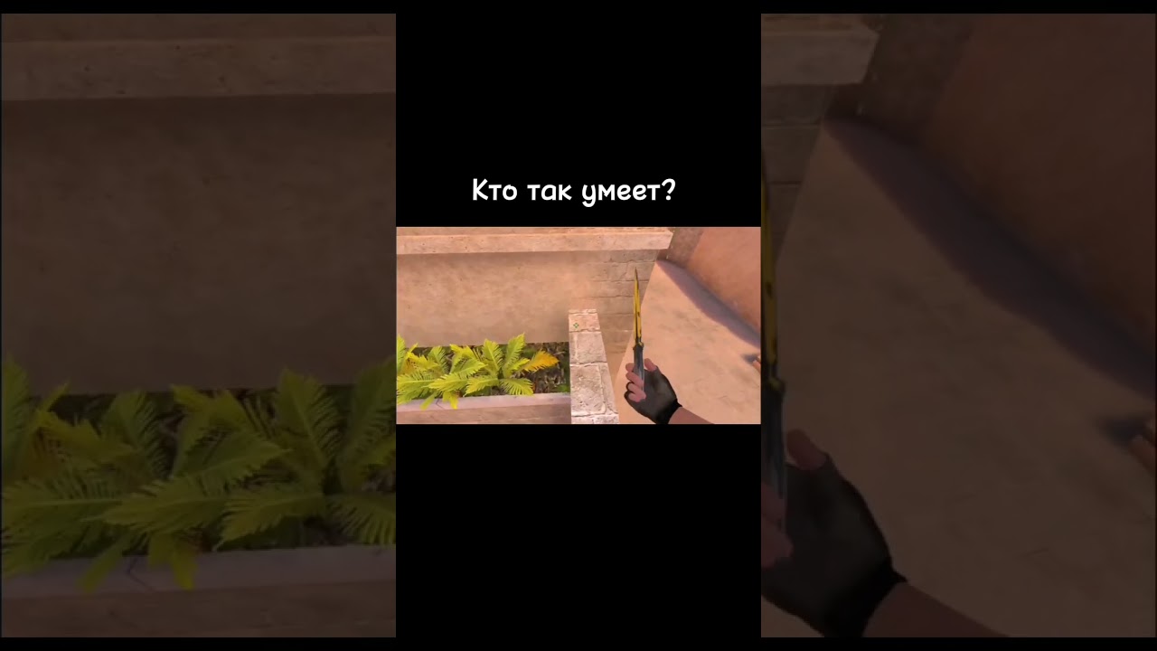 надеюсь ты так можешь🤨#rich #standoff2 #gaming #  код автора вела