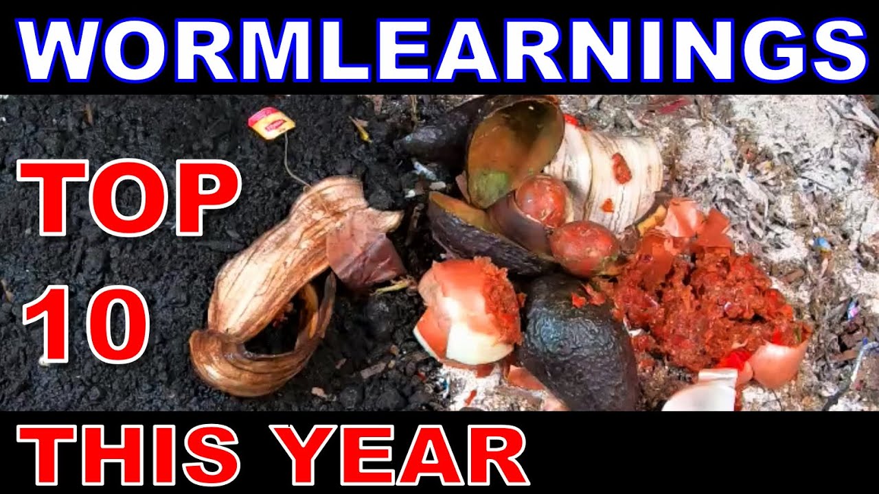 Top 9.5 Things Make a BETTER Worm Farmer