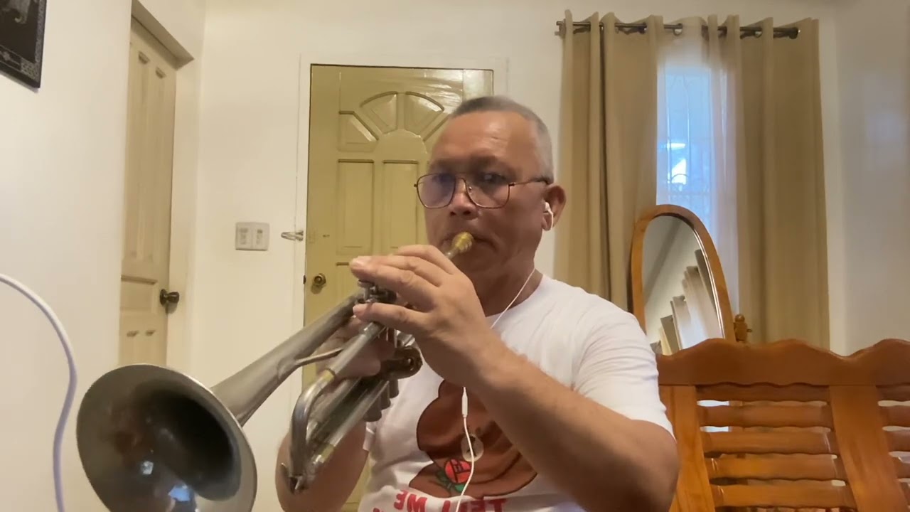 EMOTION  - Bee Gees & Samantha Sang (Trumpet) cover