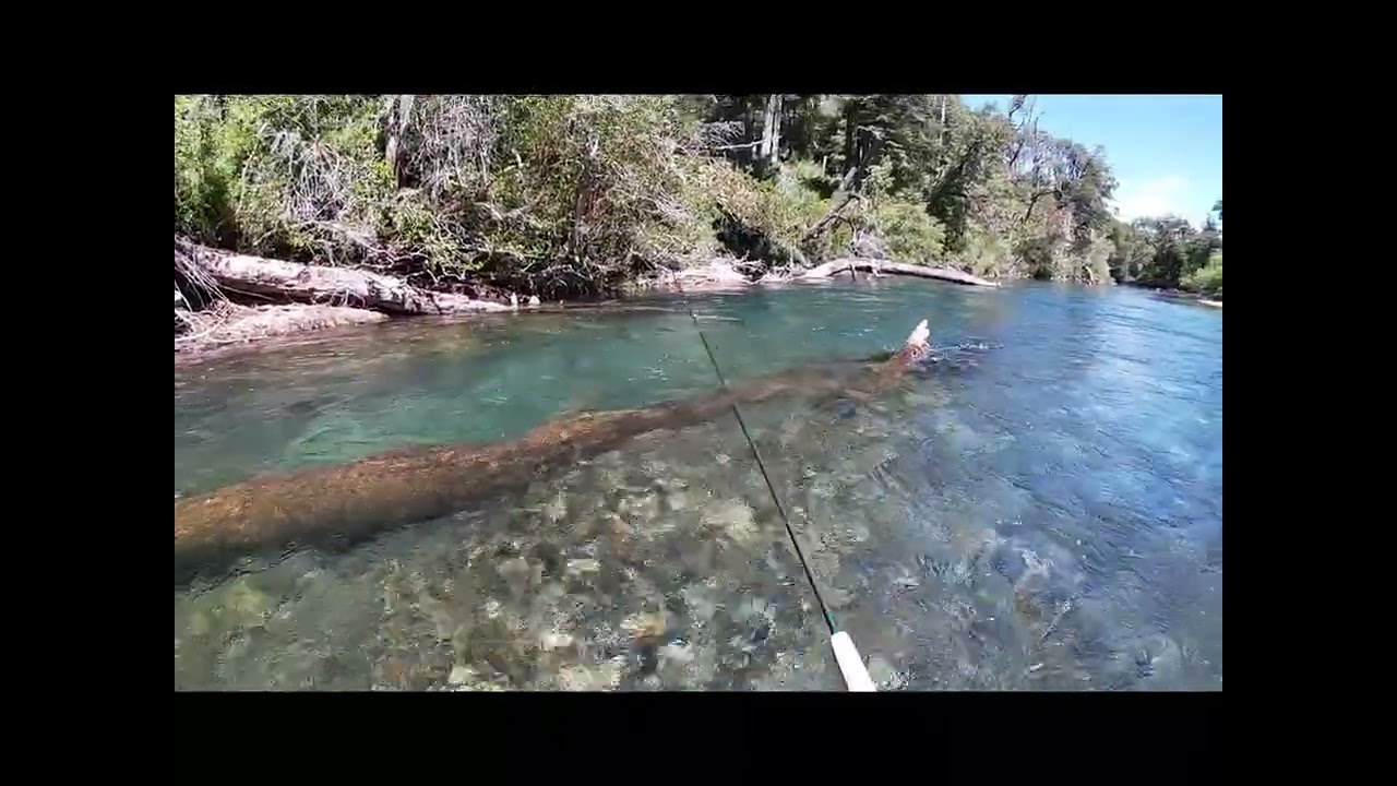 Algunas truchas salen bien y otras no,  engañarlas ya es fascinante. Técnicas de pesca Dual & Hilo.