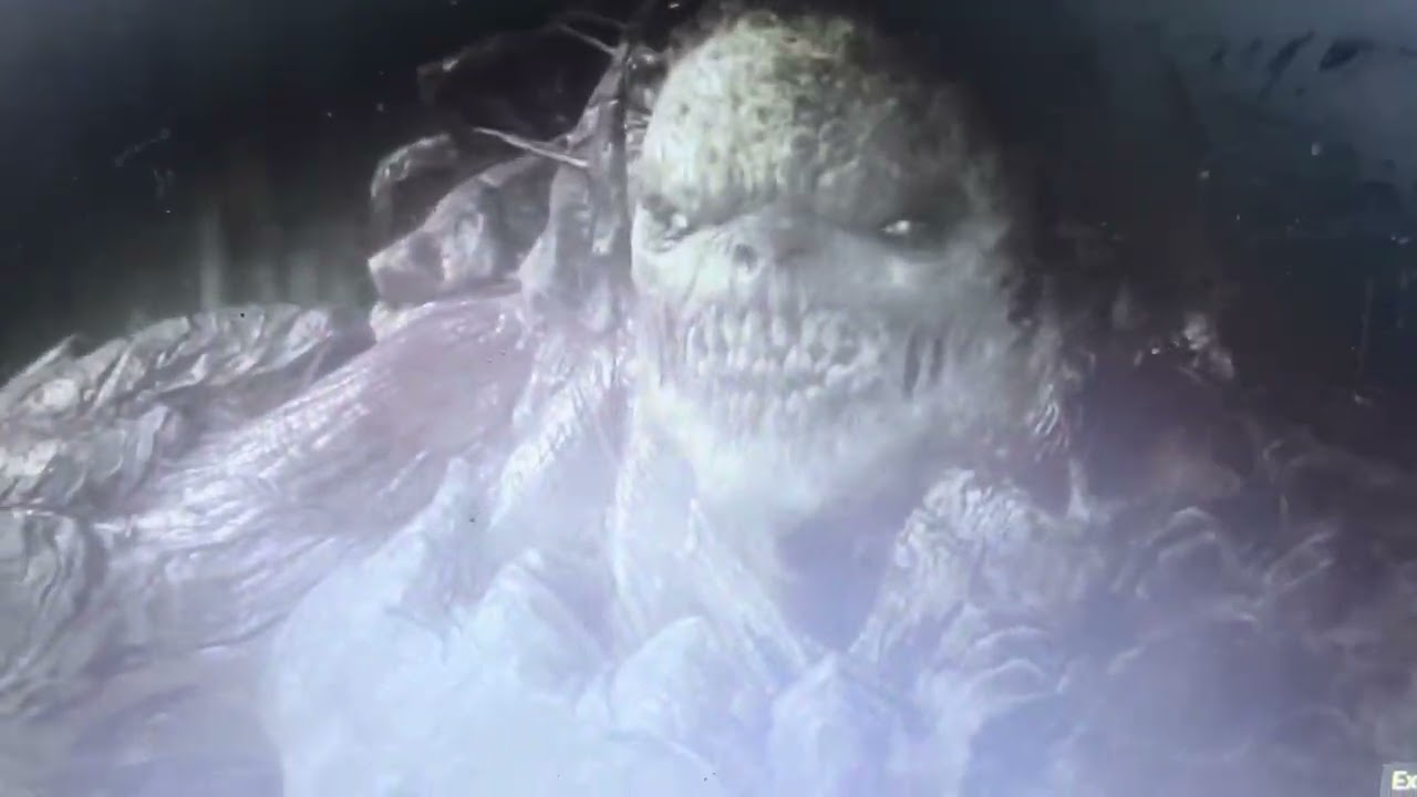 The Locust Berserker (Gears Of War)