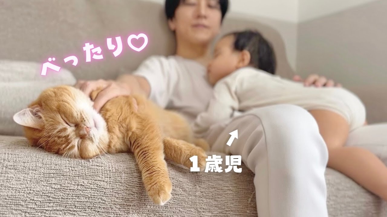 いつも一緒。1歳の弟にべったりで離れない兄猫が、弟から初めておやつをもらって歓喜！