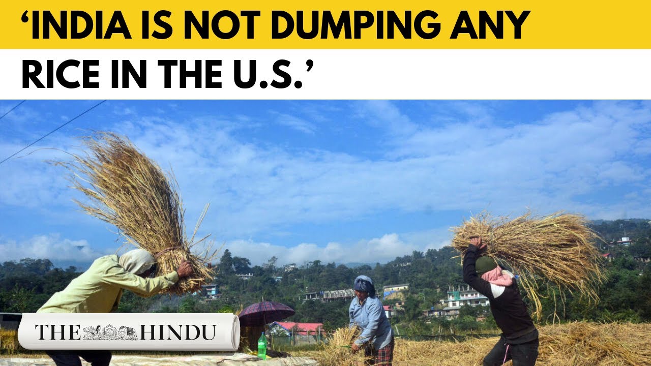 US's high tariff threats on Indian rice: exporters not worried, farmers concerned