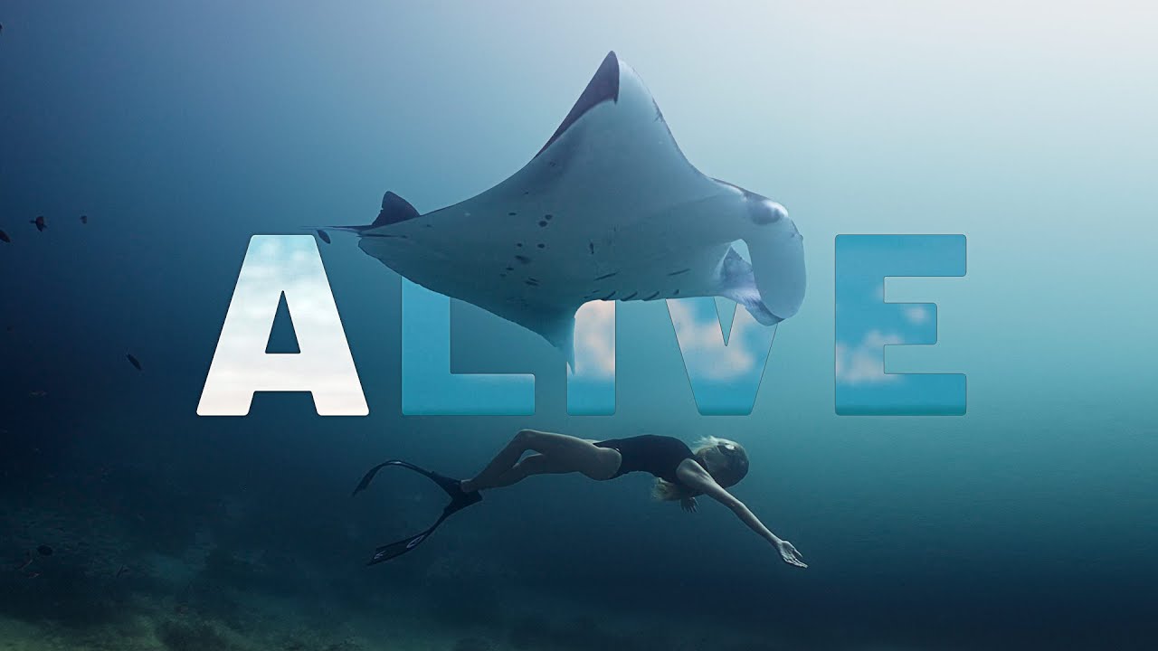 Alive - A message from Behind the Mask