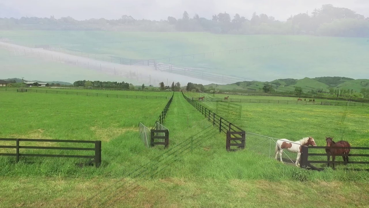 Horserail® Fencing Waikato Area