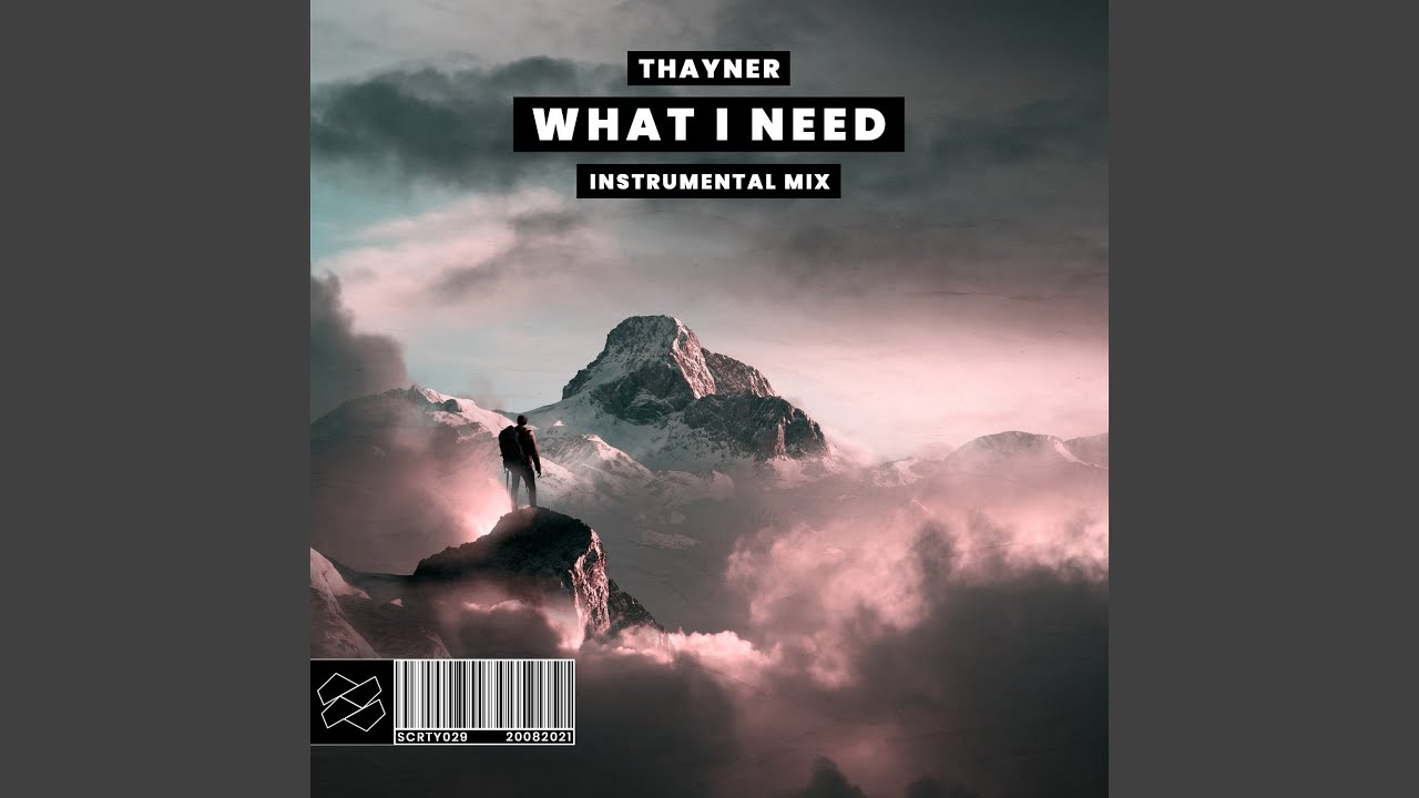 What I Need (Instrumental Mix)