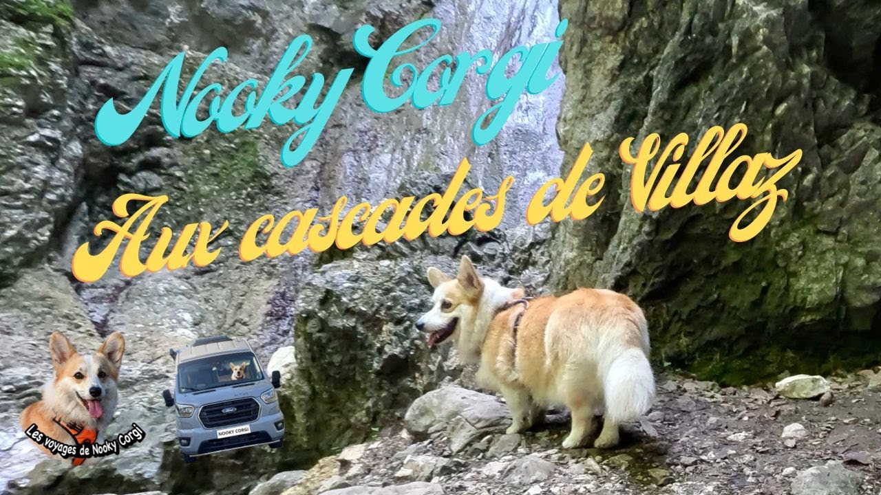NOOKY CORGI AUX CASCADES DE VILLAZ